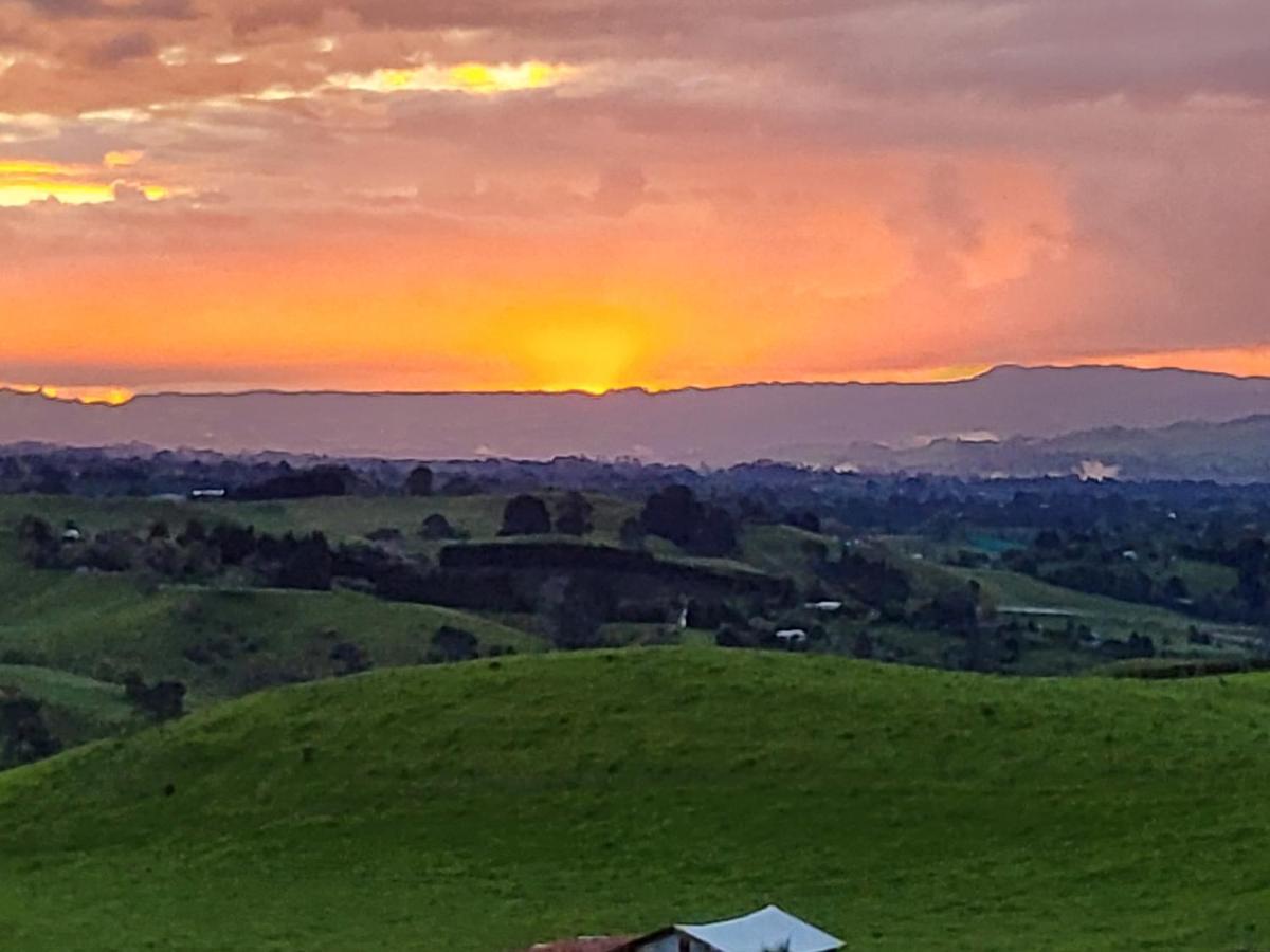 Sunset Cottage Tauranga Exteriör bild